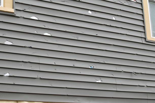 Best Siding Painting and Refinishing  in Holland, OH